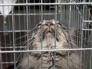Юрій Сосновцев фотография #31 (источник - https://vk.com/id9911822)
