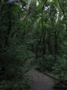 Катя Никіфорова фотография #29 (источник - https://vk.com/id9315665)