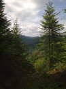 Мішка Антонишин фотография #10 (источник - https://vk.com/id44343970)