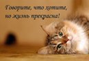 Фотография Рам Барии
