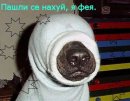 Фотография Глинкиной Екатерины