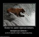 Андрій Лобунь фотография #43 (источник - https://vk.com/id31305198)