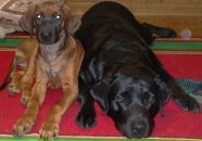 Фотография Наполовой Анастасии