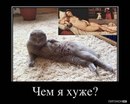 Міша Пінкевич фотография #23 (источник - https://vk.com/id16009723)
