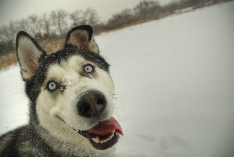 Андрей Фёклин фотография #43