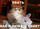Фотография Ишунина Евгения