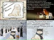 Кит Кит фотография #29 (источник - https://vk.com/id462945)