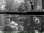 Фотография Баранова Николая