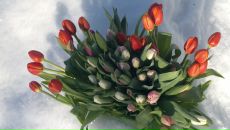 Фотография Лавровой Валентины