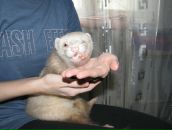 Фотография Денисовой Елены