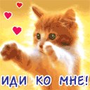 Анюточка Деліцой фотография #23 (источник - https://vk.com/id131715814)