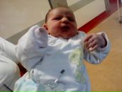 Goran Alavuk фотография #38 (источник - https://vk.com/id67396340)