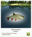 Марік Закревський фотография #45 (источник - https://vk.com/id138988682)