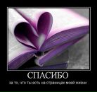 Ліля Демків фотография #50 (источник - https://vk.com/id94930642)