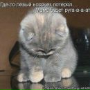 Фотография Шамаровой Юлии