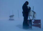 Фотография Мусиной Найли