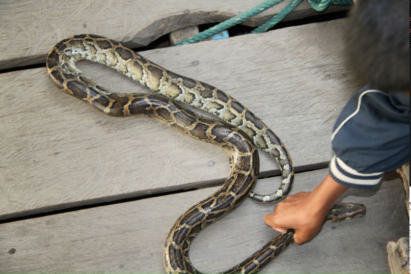 Алексей Пышкин фотография #32