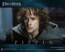 Фотография Peregrin Phil