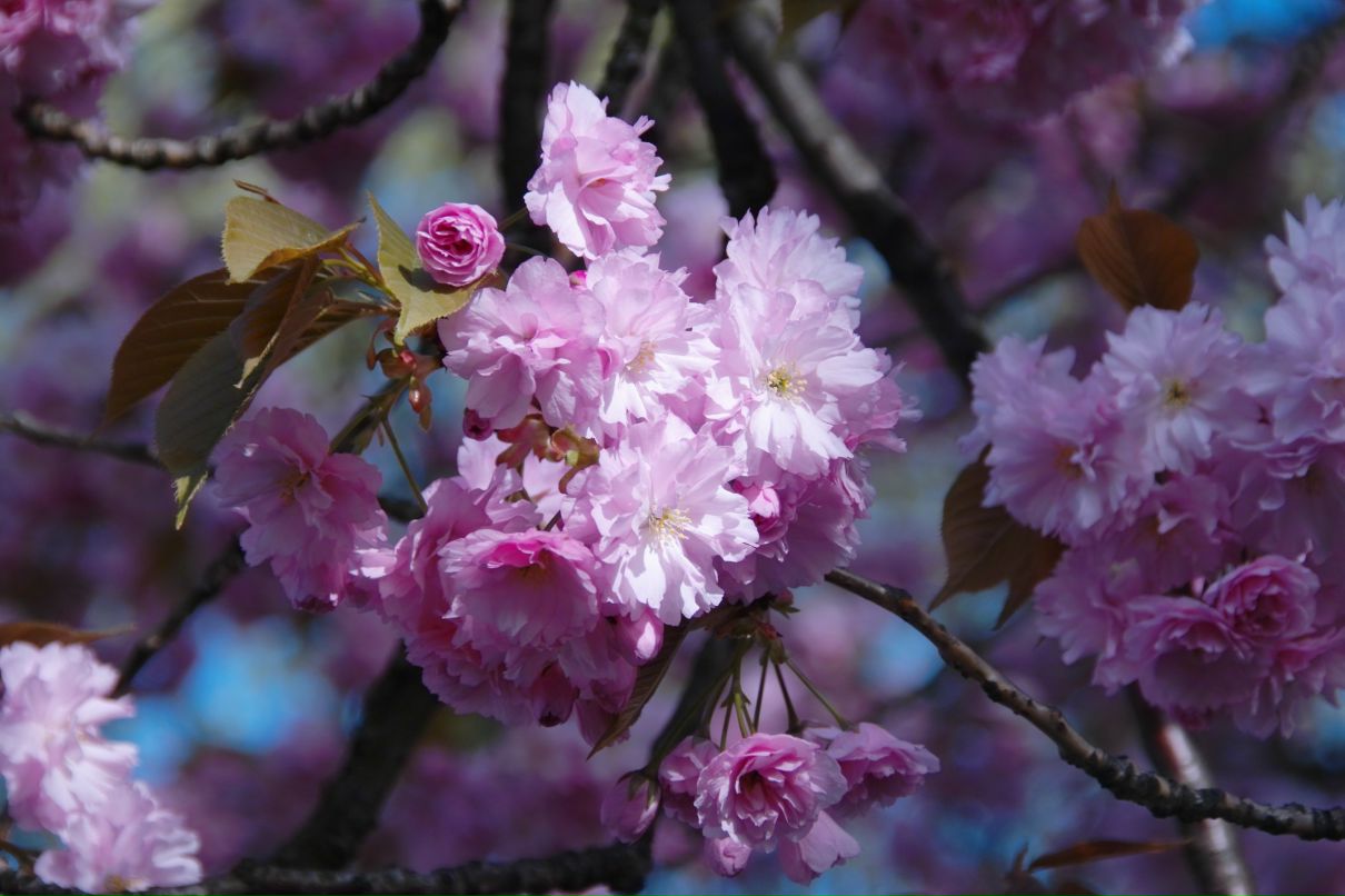 Иван Титов фотография #40