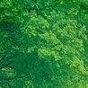 Іра Шайбан фотография #10 (источник - https://vk.com/id163040490)