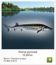 Тарас Гуржій фотография #10 (источник - https://vk.com/id156001958)