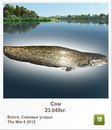 Тарас Гуржій фотография #12 (источник - https://vk.com/id156001958)