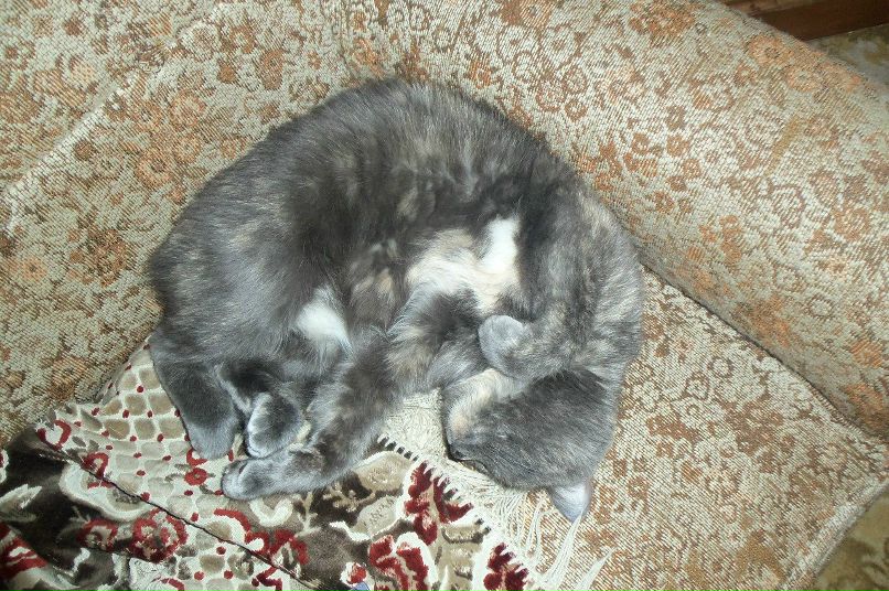 Туся Васисуальевна фотография #4