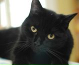 Фотография Ермилова Ильи