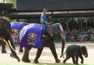 Анна Матвеенко фотография #12 (источник - https://vk.com/id982526)