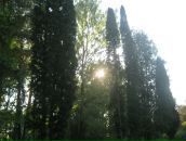 Андрій Легендзевич фотография #26 (источник - https://vk.com/id17082787)