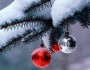 Фотография Маниной Любови