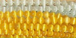 Κристина Κопылова фотография #26 (источник - https://vk.com/id166734110)