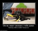 Ксенія Єленчук фотография #46 (источник - https://vk.com/id15597131)