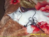 Ігор Волощук фотография #5 (источник - https://vk.com/id32110780)