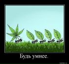 Фотография Сурковой Анастасии