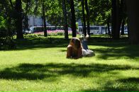 Фотография Ростиславиной Элины