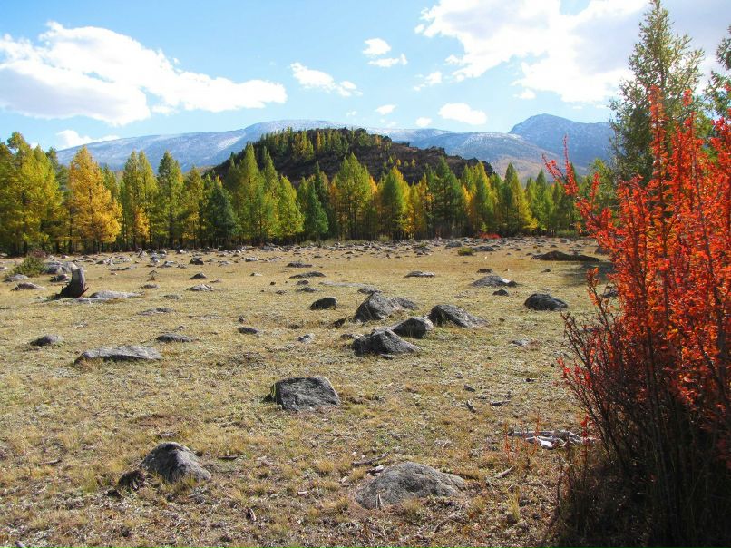 Алаш-оол Хертек фотография #17