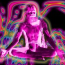 Фотография Демиденко Антона