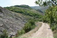 Фотография Привезенцевой Елены