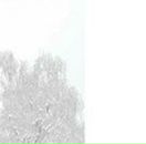 Света Іваніга фотография #47 (источник - https://vk.com/id83576210)