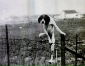 Дмитрий Сипливый фотография #3 (источник - https://vk.com/id3652219)