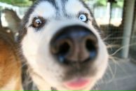 Фотография Арсентьевой Полины