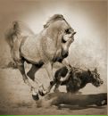 Фотография Типикиной Елены