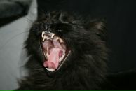 Фотография Евстратовой Тани