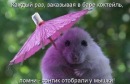 Фотография Кравчук Оксаны