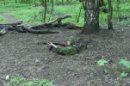 Фотография Подопригоры Дениса