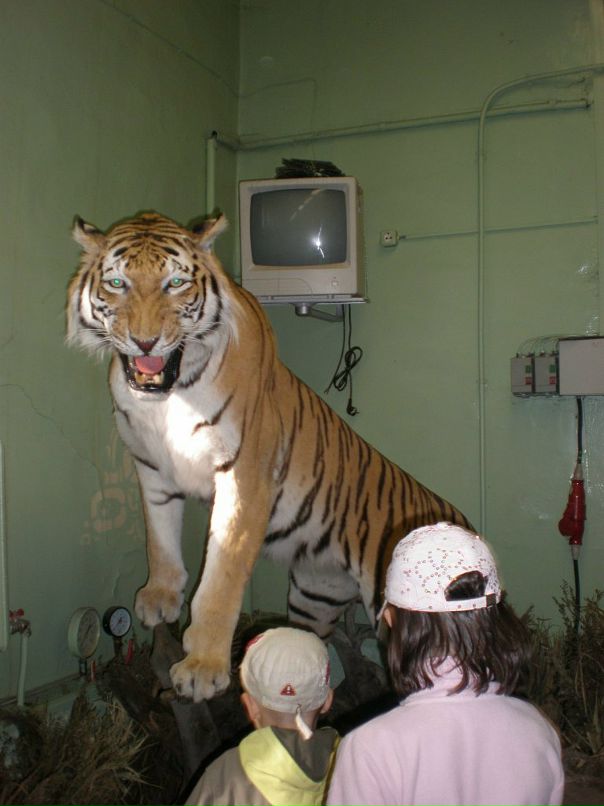 Ирина Мальцева фотография #30