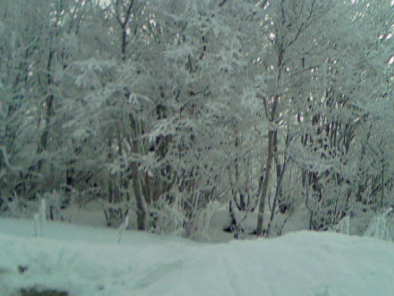 Иван Л фотография #36