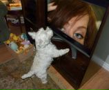 Фотография Шапошниковой Лены