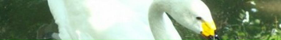 Діма Оксеньчук фотография #24 (источник - https://vk.com/id49665857)